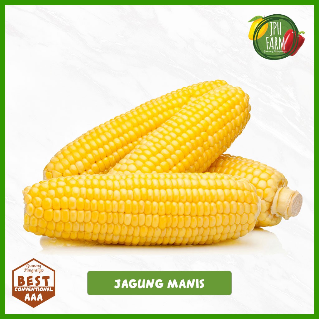 

Jagung Manis Kupas, Sweet Corn, Jagung Tongkol 1kg