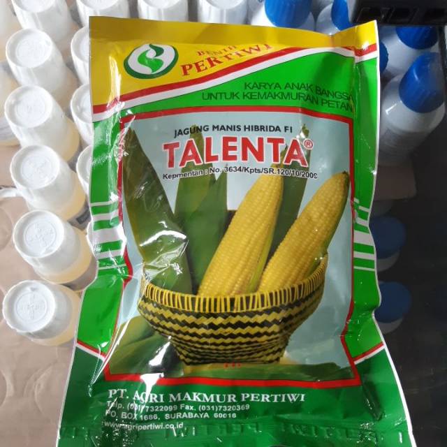 Benih Bibit Jagung Manis Talenta
