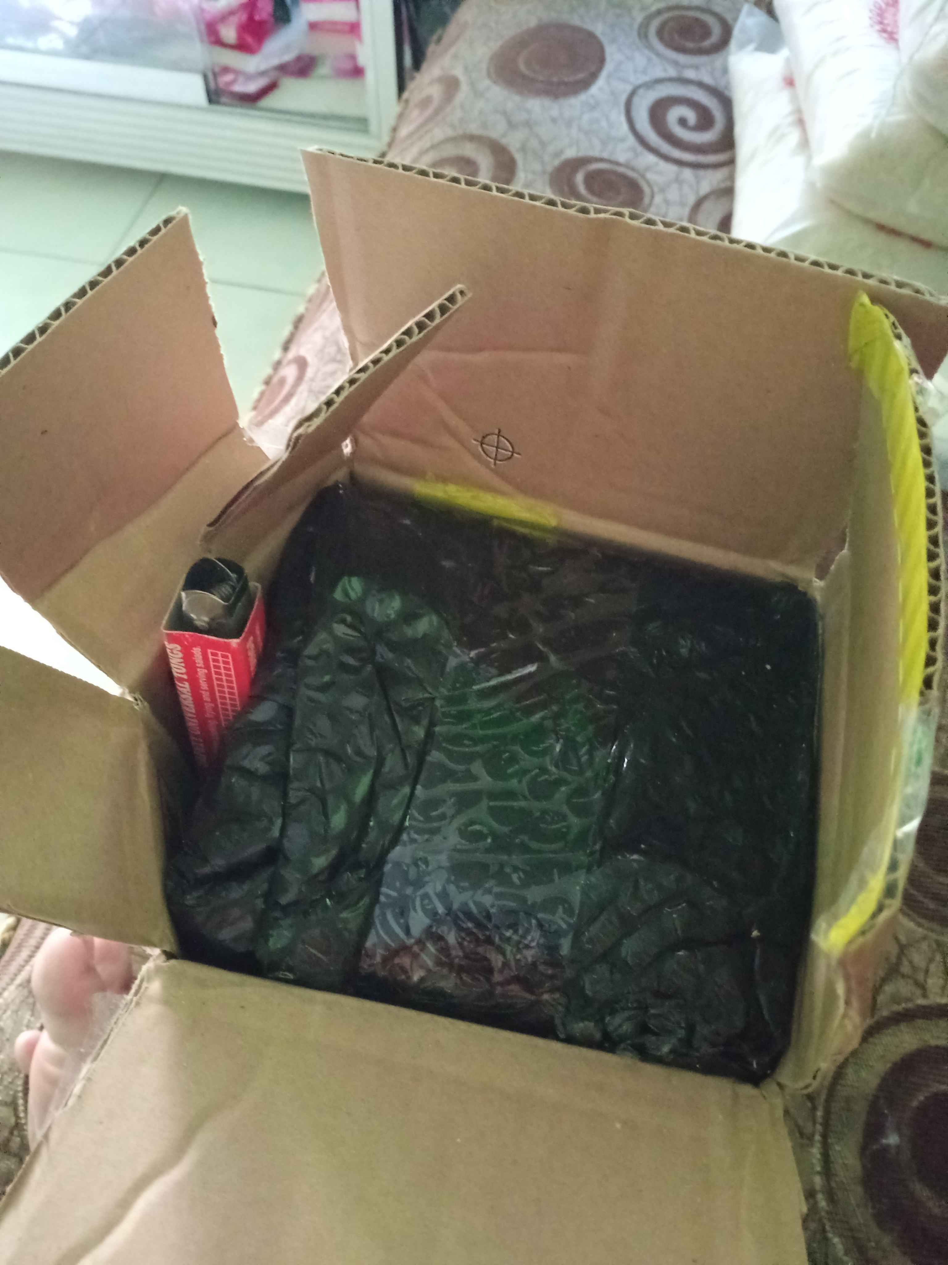 Timbanga Dapur Kitchen Scale Sea Lion