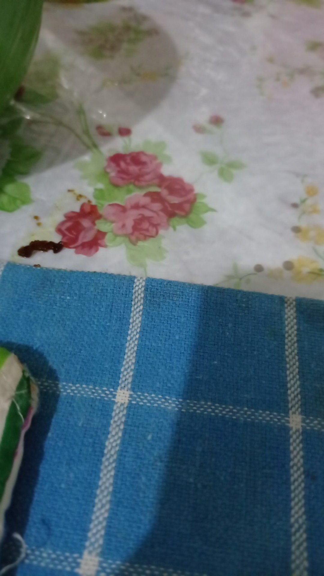 Paket 3 Pcs - Terry Palmer Cotton Club Handuk Anak / Bayi 60x120 - Lembut - Menyerap Air