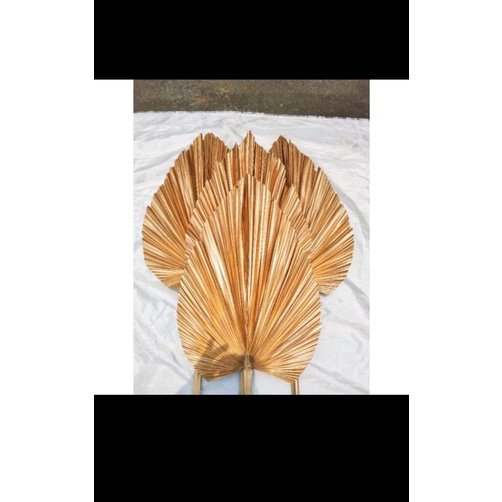 Daun Palem Gold/Dekorasi/rustic