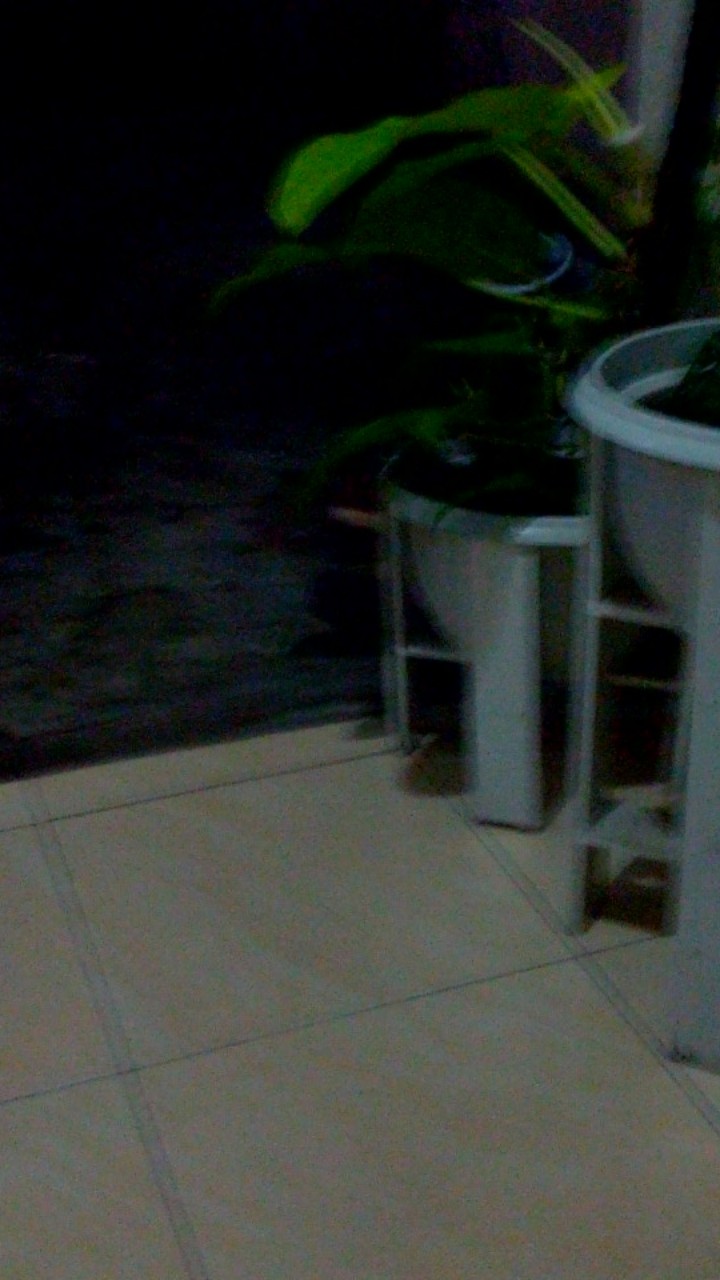 Couple Sarimbit Batik Bapak Dan Anak Motif Manggar