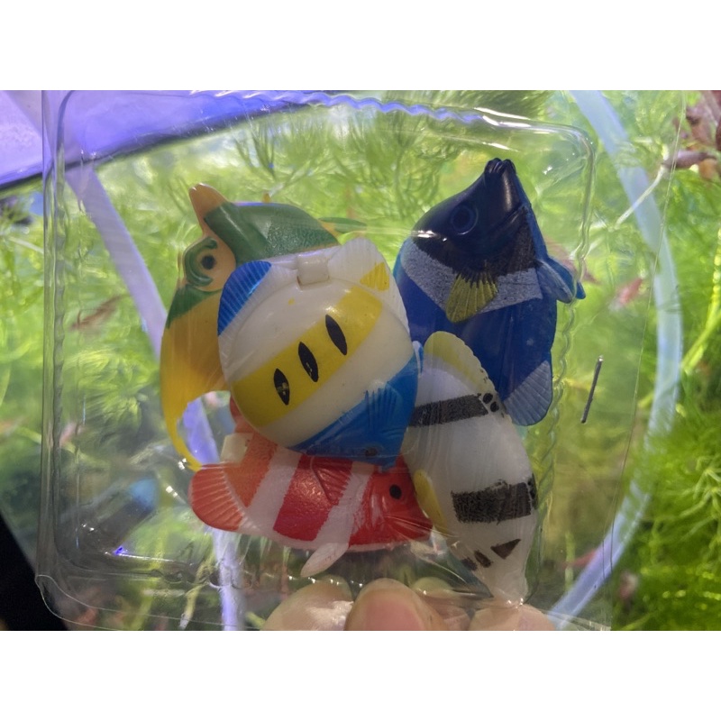 Mainan Hiasan Aquarium , mainan plastik , hiasan aquarium , ikan mainan , ikan hiasan aquarium