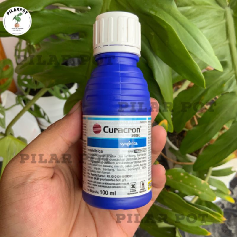 Insektisida pembasmi hama kutu putih CURACRON 500EC 100ml
