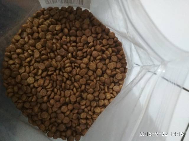 BEAUTY CAT 1KG REPACK makanan kucing