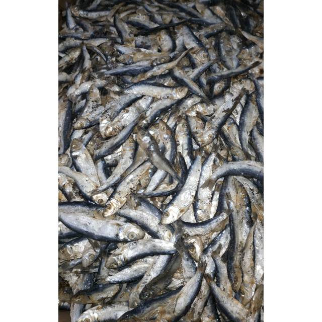 

IKAN ASIN TEMBANG KECIL [125gr]