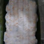 

Mendoan isi 4-5 Lembar/ Tempe Mendoan Super