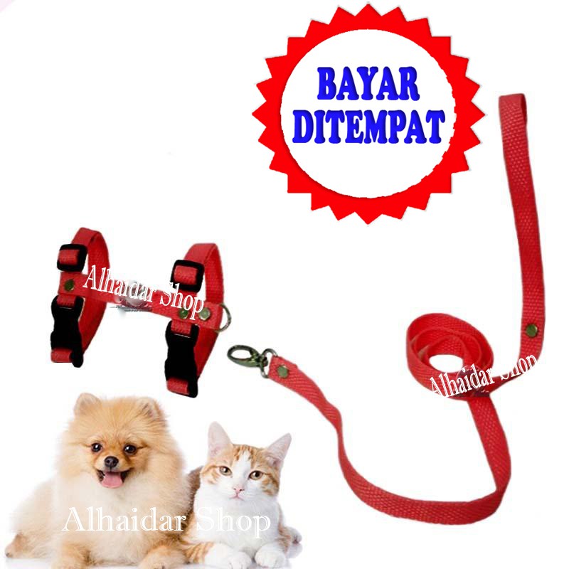 Harness H Kucing Hewan Musang