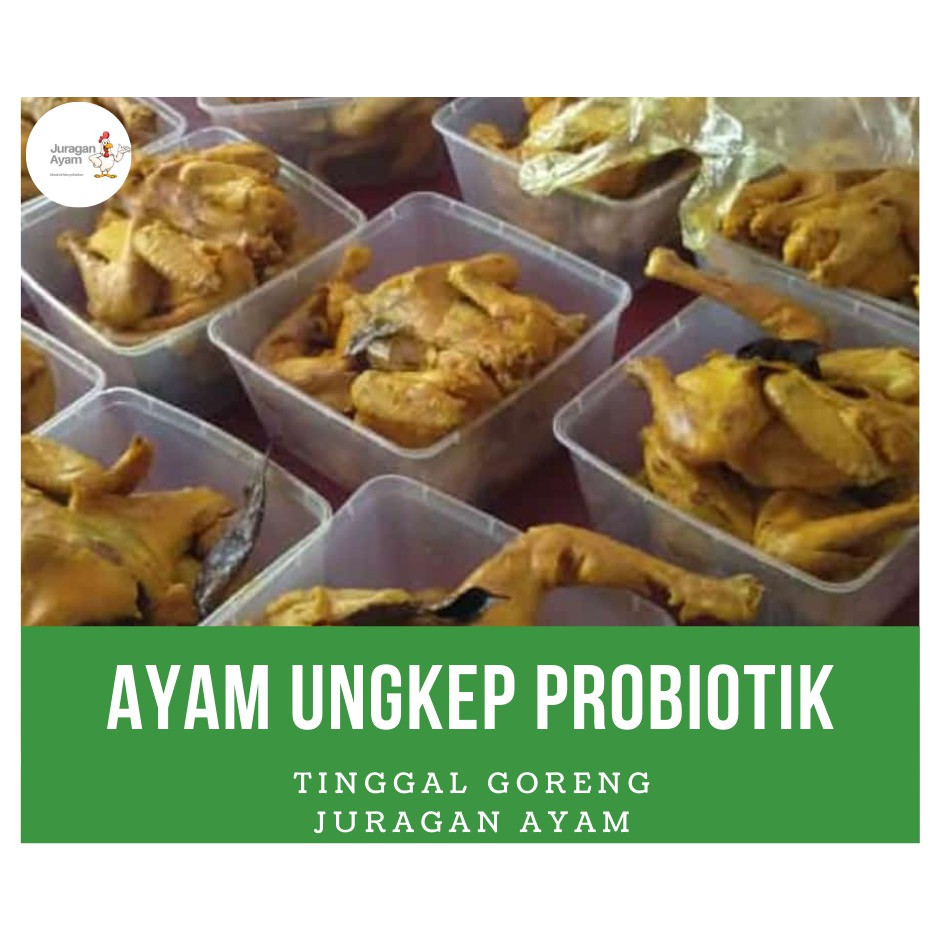 

Ayam Ungkep Probiotik