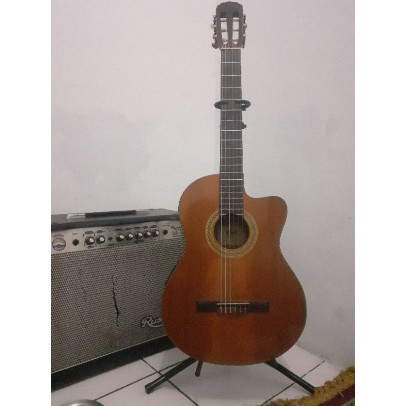 Acoustic Guitar Cort Nylon Senar