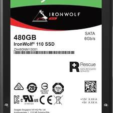 SSD IRONWOLF NAS 480GB ZA480NM10001