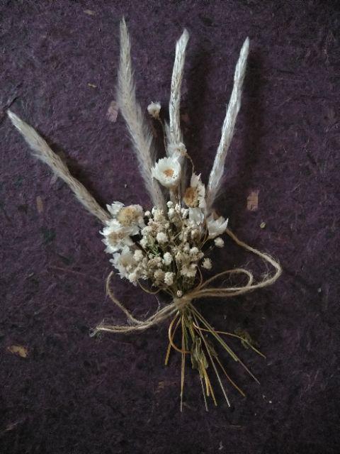 Acroclinium Rodanthe Manglesii Bunga Kering Asli 1 Ikat Import Dried Flower Preserved Flower