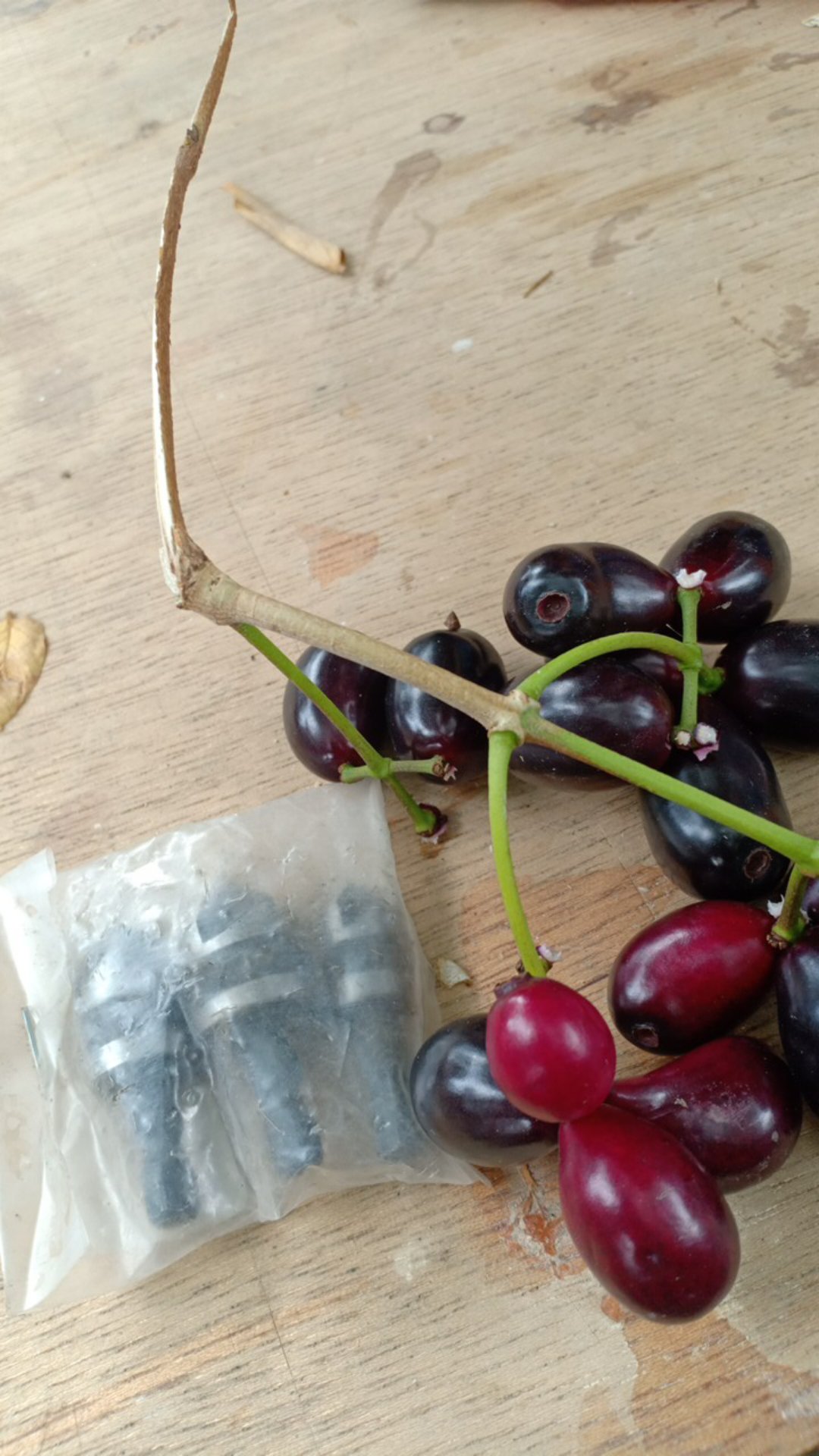 Mata Bor Countersink Untuk Kayu Dan Logam 3pcs 12 16 19mm