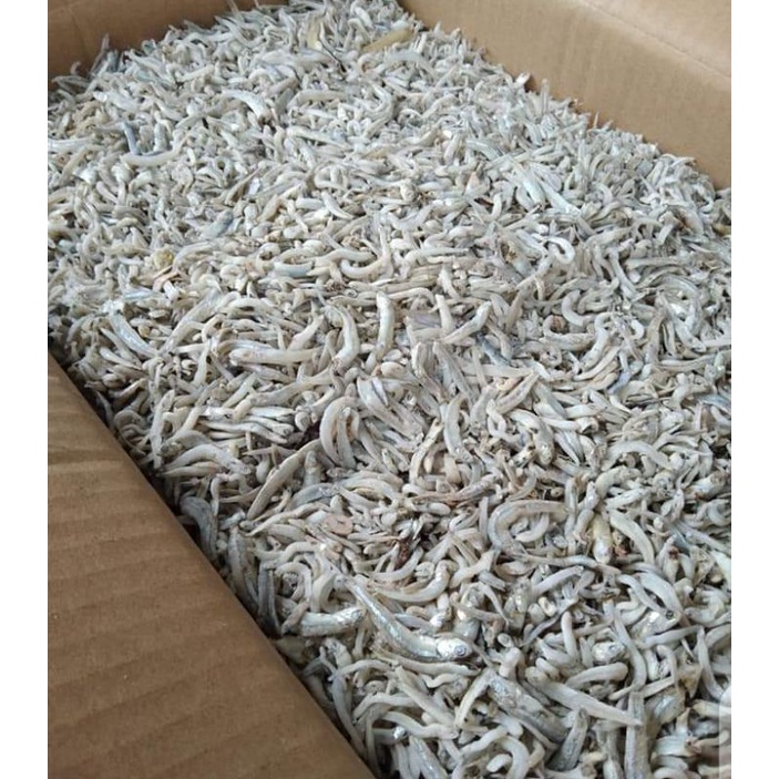 

Ikan Asin Teri Buntio Super Fresh