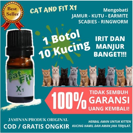 PAKET AMPUH! Cat And Fit X1 dan EarFit Untuk Mengatasi Kutu Tungau Jamur Earmites Kucing Scabies