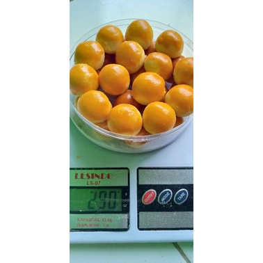 

nastar semi premium 250gr