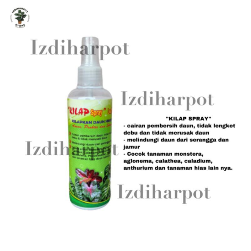 kilap leafshine spray 250 ml pengkilat daun siap pakai - KILAP BESAR