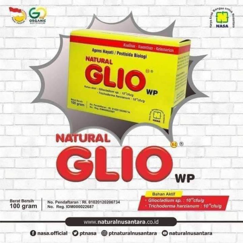 PUPUK GELIO NASA mencegah kelayuan pada tanaman/jamur akar putih