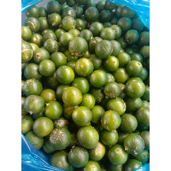 

Jeruk Kasturi
