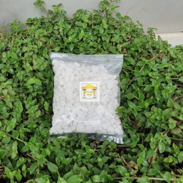 batu hias tanaman aquarium aquascape batu itali 1 kg - putih susu