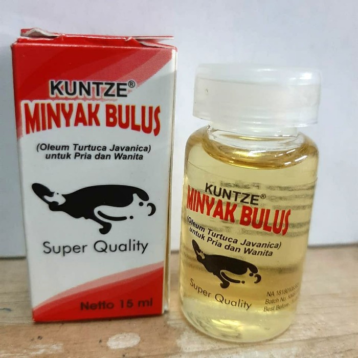 MINYAK BULUS KUNTZE SUPER QUALITY ORIGINAL BPOM PEMBESAR PAYUDARA