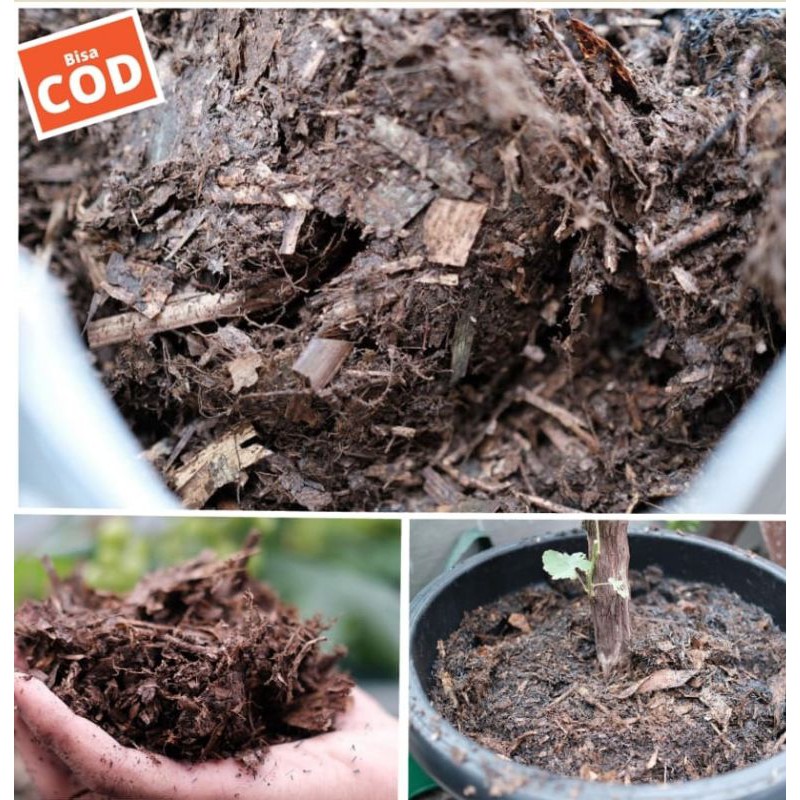 DAUN BAMBU KERING, KOMPOS DAUN BAMBU, MEDIA TANAM DAUN BAMBU