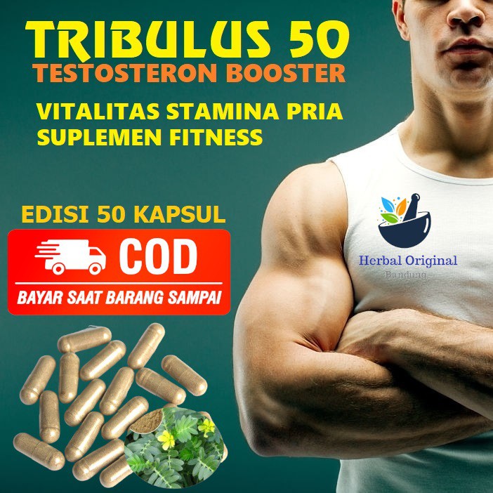 Tribulus Testosteron Tribulus Terrestris 50 Kapsul Herbal Pembentuk Otot Vitalitas Pria Dewasa
