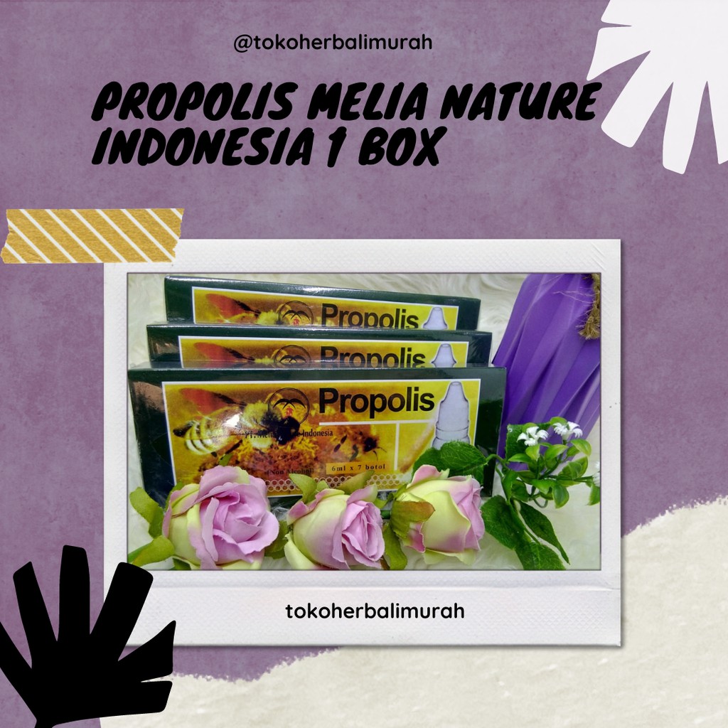 PROPOLIS MELIA NATURE INDONESIA Harga 1 Box