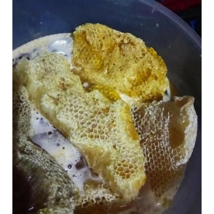 

Madu Tawon Gung Asli 100%