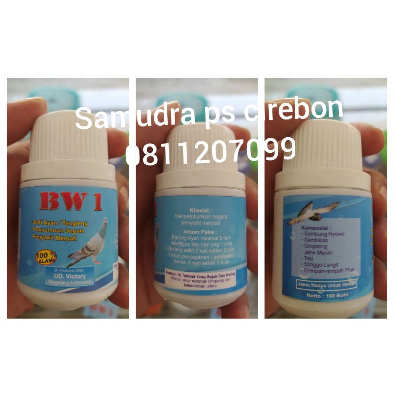 JAMU MERPATI TETELO/ AYAN / TENGLENG  dan Sakit BW 1