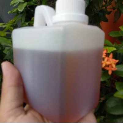 

Madu nektar durian original raw honney 500gr madu murni madu jakarta