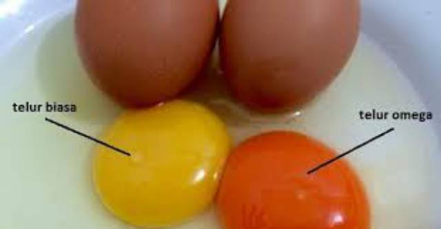 

RB Telur Omega 30 Butir Rasa Gurih Kuning Orange