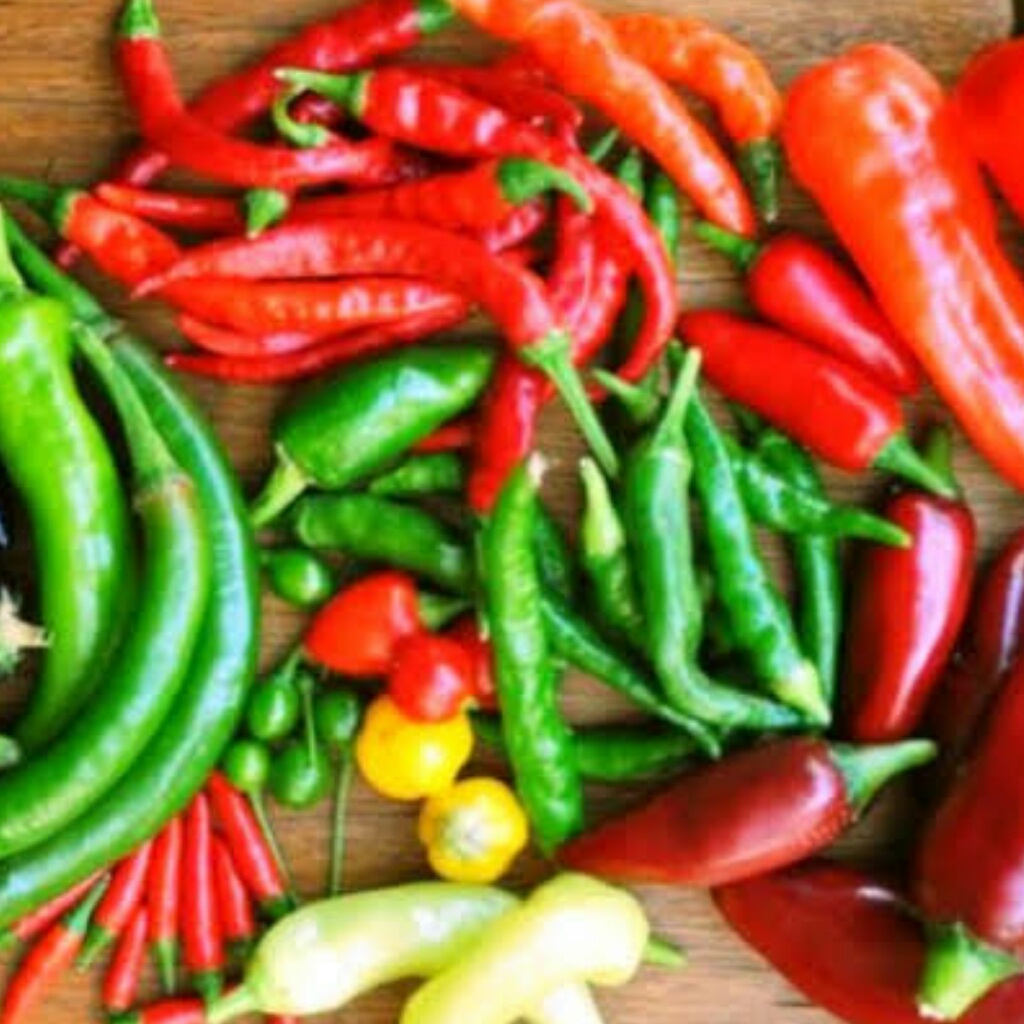 

CabeRawitHijau/CabeRawitMerah/CabeBesarHijau/CabeBesarMerah/CabeKeritingHijau/CabeKeritingMerah/CabeRawitHijauPetik/CabeRawitMerahPetik/CabeBesarHijauPetik/CabeBesarMerahPetik/CabeTWHijau/CabeTWMerah/CabeGendotHijau/CabeGendotMerah