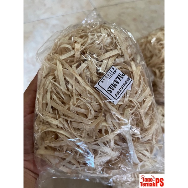 SUSUH LUTINO LABET / LOVEBIRD