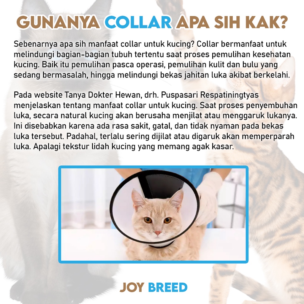 COLLAR PET CORONG KUCING ANJING KELINCI UKURAN SEDANG