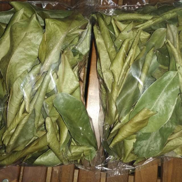 

Daun Sirsak Kering 31 gram