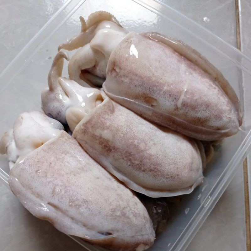 

Cumi Sotong Fresh [1kg]
