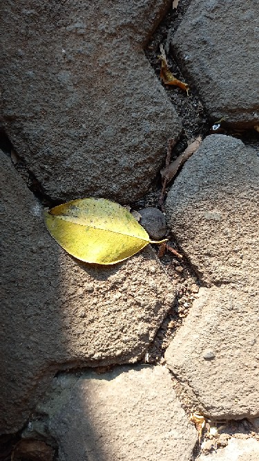 Blouse Batik Jumbo Wanita Terbaru - Baju Batik Wanita Terbaru Murah Size M L Xl Xxl Xxxl 4l 5l