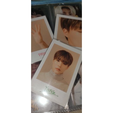 POLA SG20 JENO