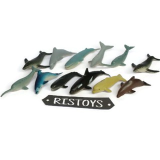 88 Koleksi Gambar Hewan Ikan Laut Gratis Terbaru