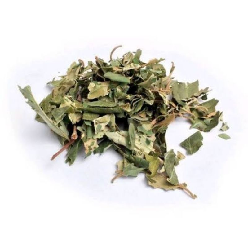 Daun Bidara kering