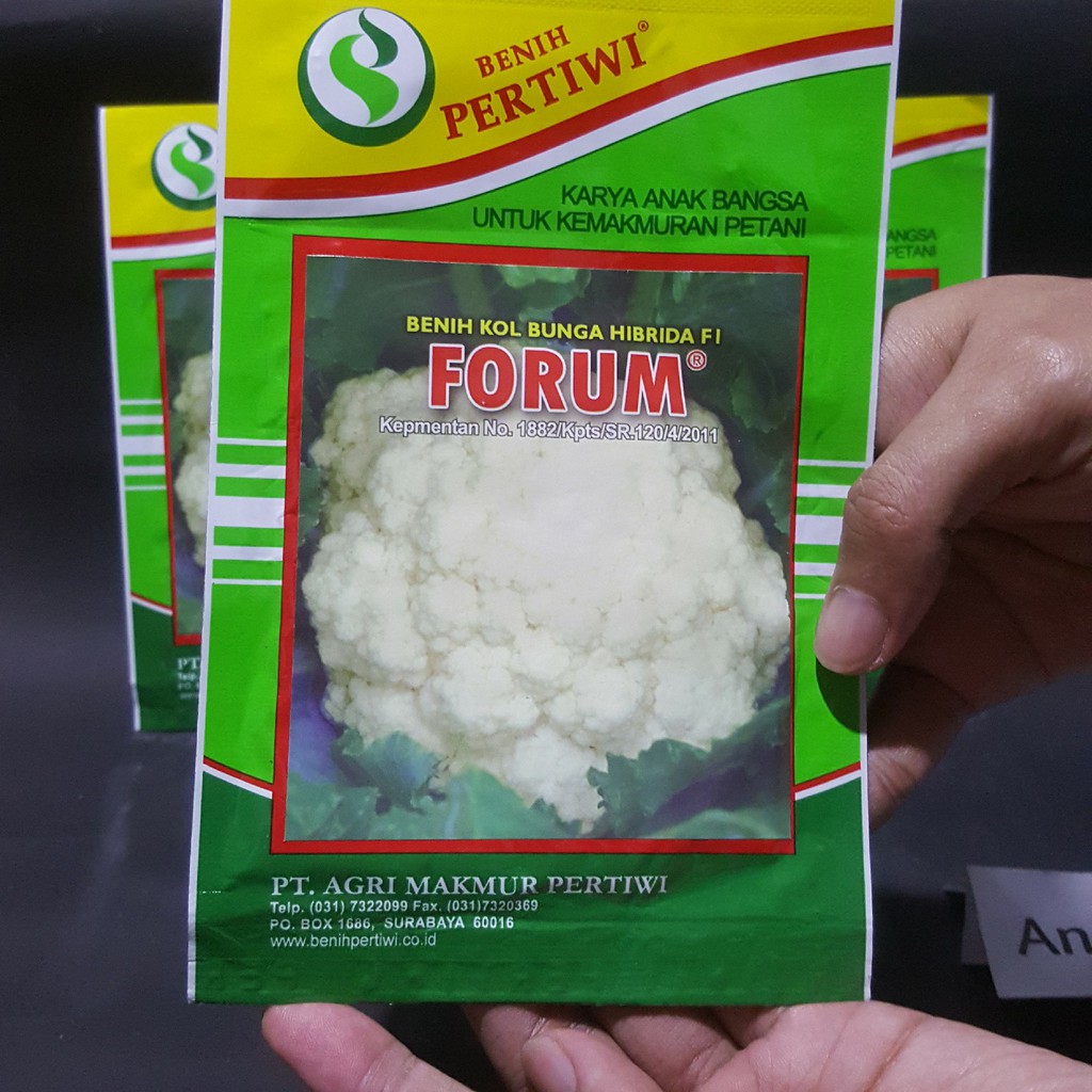Benih Kol Bunga HIBRIDA F1 FORUM Isi 2200 Biji - Benih Kol PERTIWI - Benih Bungkul