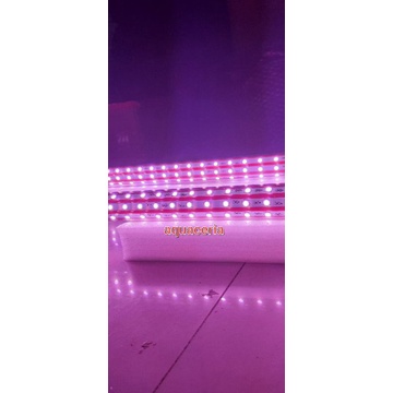 Lampu Aquarium 3 sisi HIKARI T11-600 3D Lampu Tanning Arwana RED VIEW PLUS Waterproof Ipx8 tahan air sampai kedalaman 4M