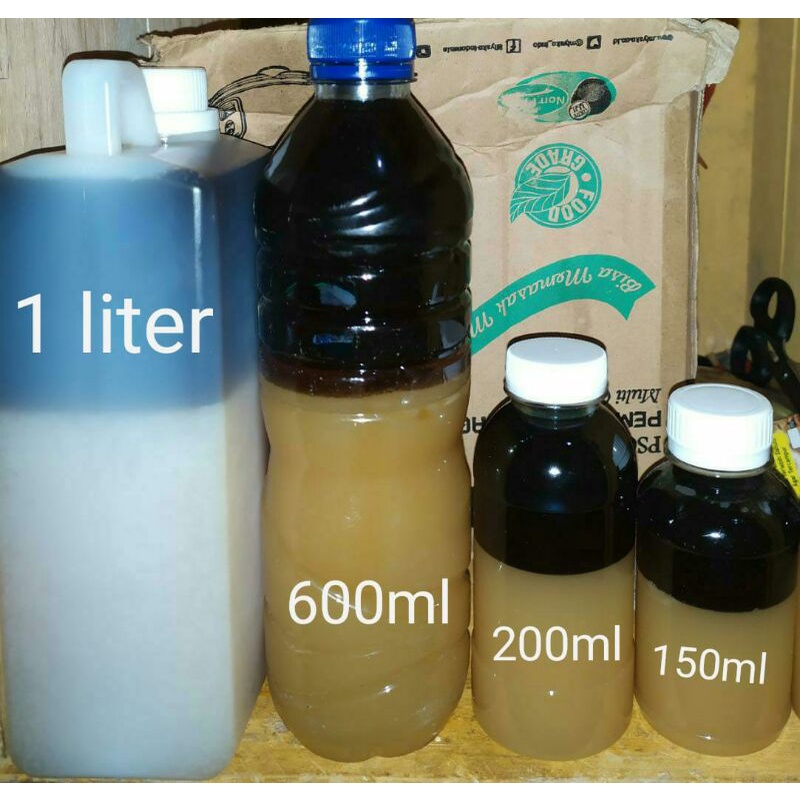 MINYAK PENCA/ MINYAK URUT/PIJAT/ MINYAK BALUR CIMANDE ASLI DARI BOGOR CIMANDE TALANG..