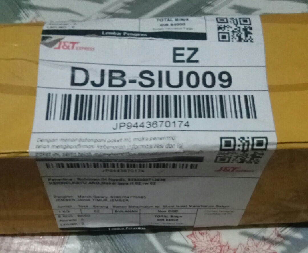 Biakan Metarhizium Sp. Murni Isolat Metarhizium