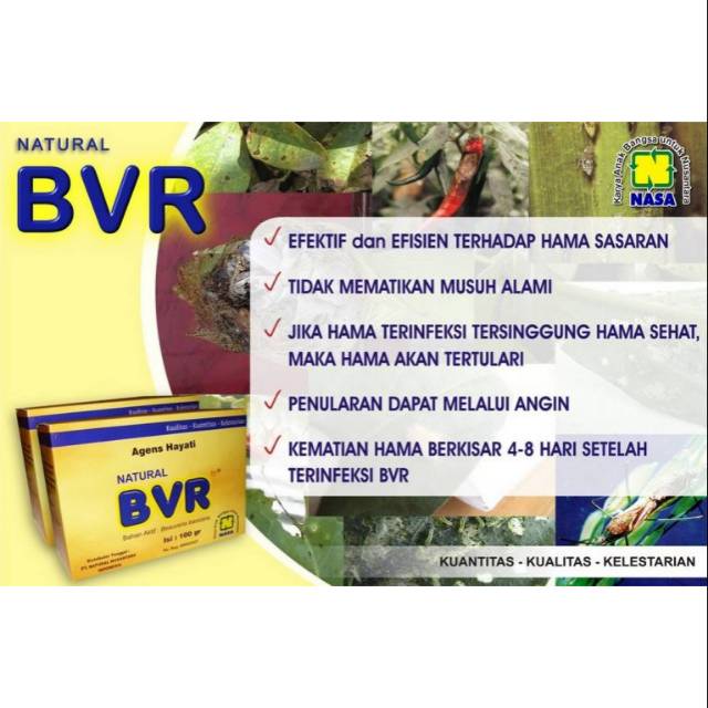 Natural BVR Obat Wereng,Walang sangit DLL