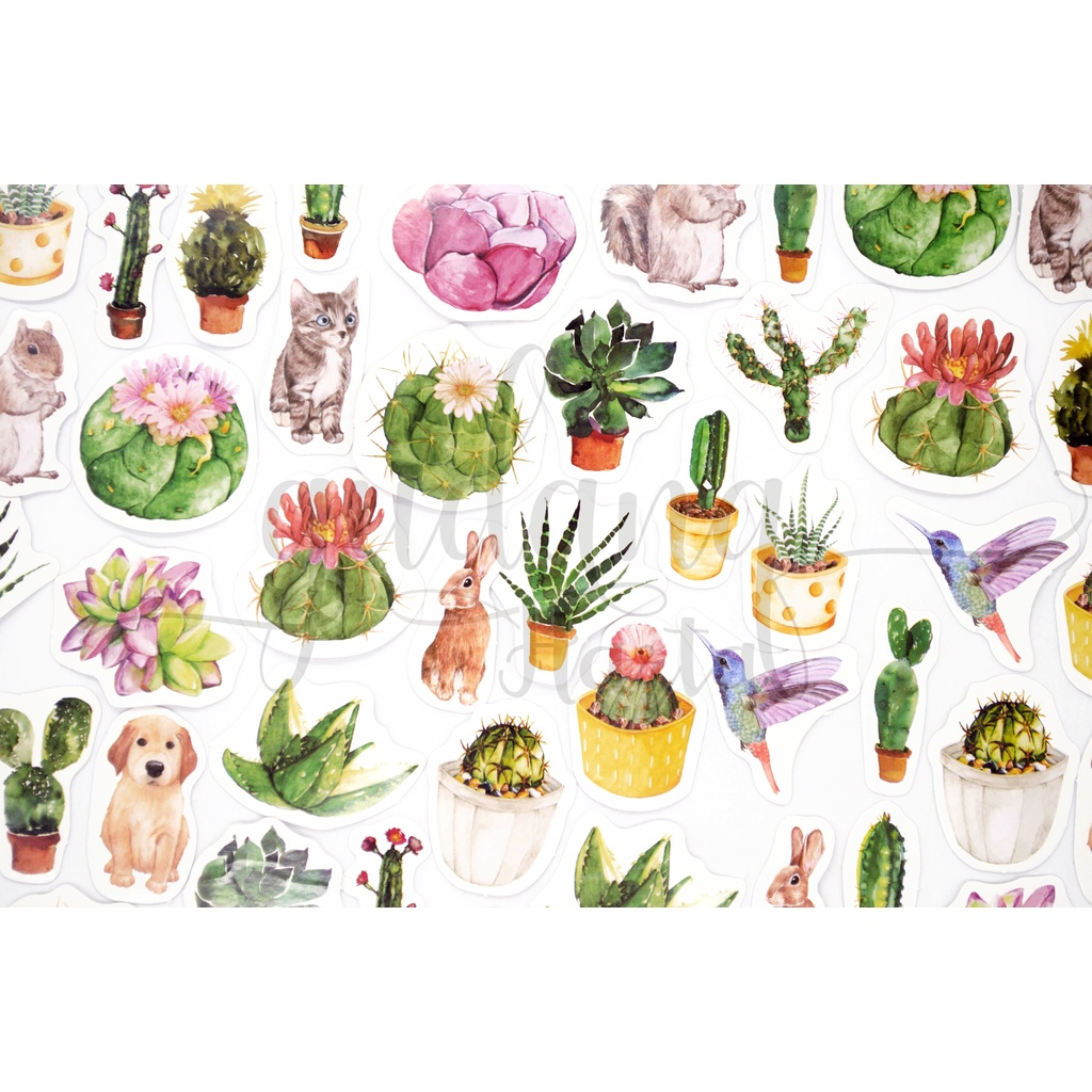 Stiker Green Cactus Sticker Kaktus Hijau Unik DIY GH 303732