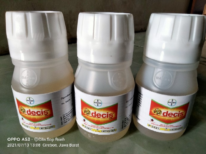Insektisida Decis 25ec 50ml