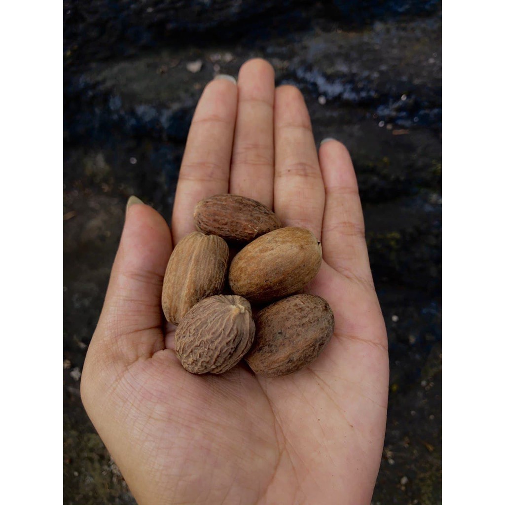 

Biji Pala / Biji Pala Kering / Nutmeg / Biji Pala Original