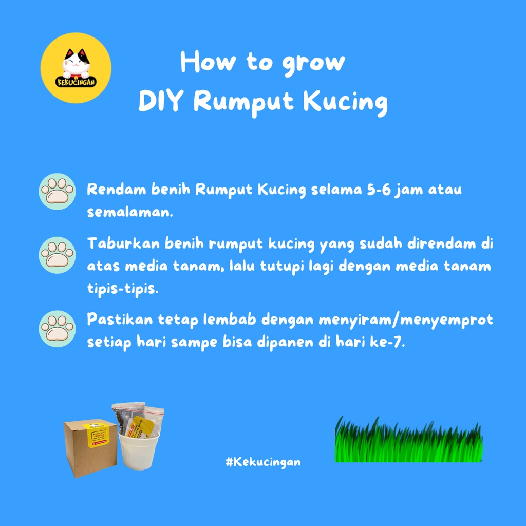 DIY CUP RUMPUT KUCING Paket Tanam Rumput Gandum Paper Cup 12 oz